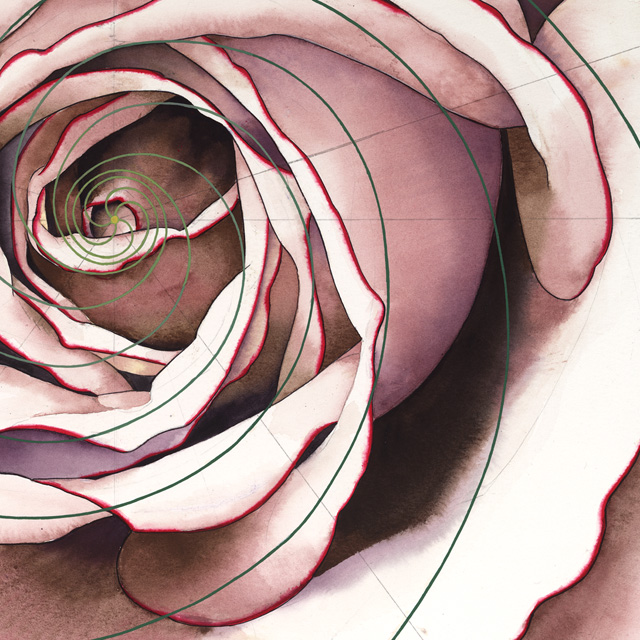 Unconditional Love Detail Print. (C) P.C.Turczyn