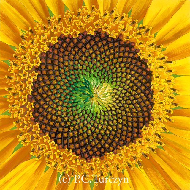 Infinite Creativity. Copyright and artist's name do not appear on actual print.