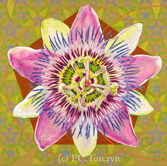 Infinite Vitality. Copyright and artist's name do not appear on actual print.