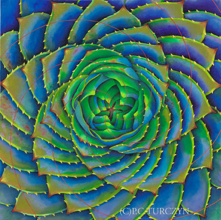 "Infinite Health" available as an archival, limited edition print in three sizes.