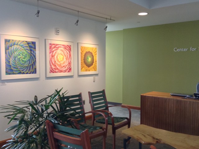 "Infinite Health," "Infinite Surrender" and "Infinite Creativity" at the Phipps Conservatory and Botanical Gardens' new Center for Sustainable Landscapes.