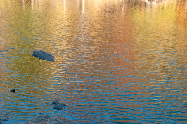 Sweetwater study in blue and gold_17X22_N124633