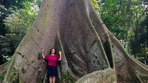 Elisa Novick in the Singapore Botanic Gardens under a Kapok tree.